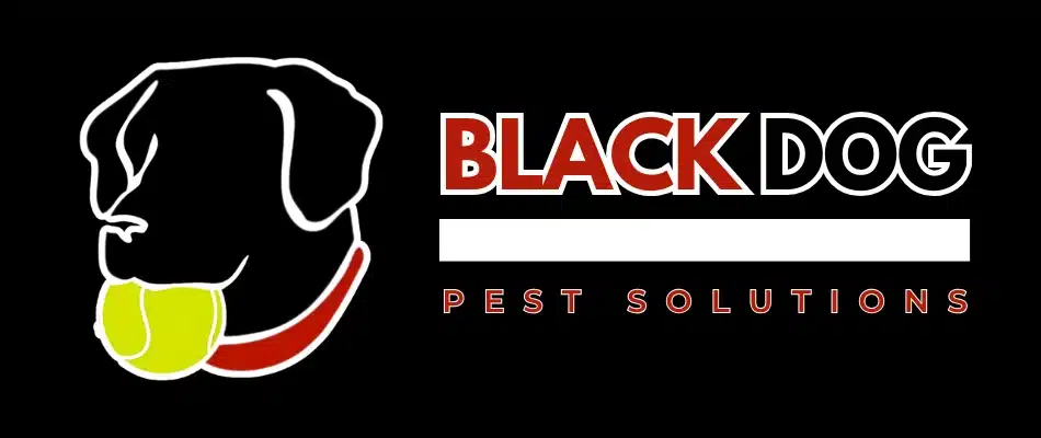 Black Dog Pest Solutions Logo